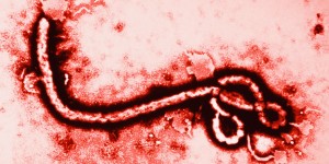 Article : Mali : un premier cas d’Ebola vient d’être signalé.
